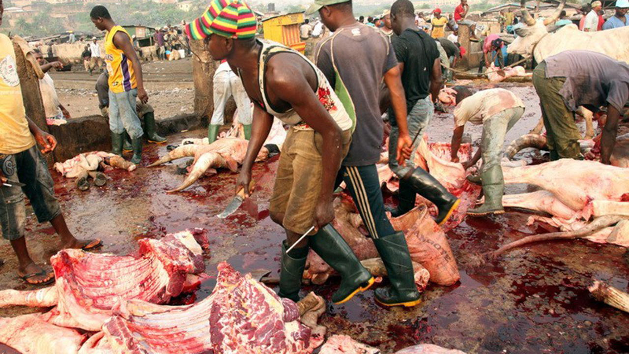 Nigerian abattoirs