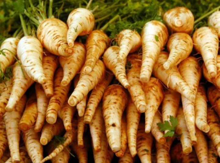 Parsnip Health, nutritional benefits Naturenews.africa