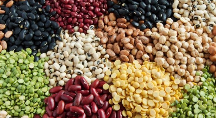 Legumes and you: Health benefits of beans - Naturenews.africa