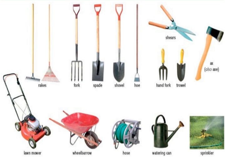 Garden Tool Maintenance: Tips for Long-Lasting Tools