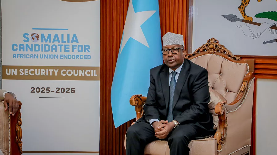 Somalia Formally Takes UN Security Council Seat - Naturenews.africa