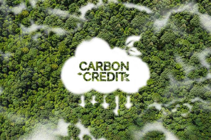 Pan-Amazon forum rejects jaguar carbon credits