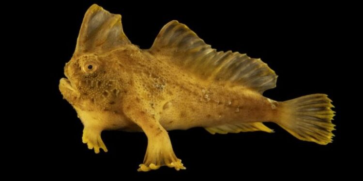 Nat Geo Sartore’s Photo Ark captures 18,000 animals in 20 years